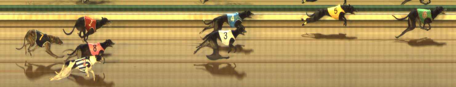 Photo finish for The Meadows Race 5
