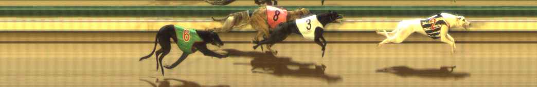 Photo finish for The Meadows Race 6