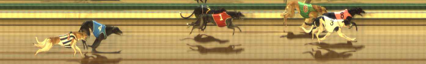 Photo finish for The Meadows Race 7