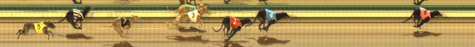 Photo finish for The Meadows Race 8