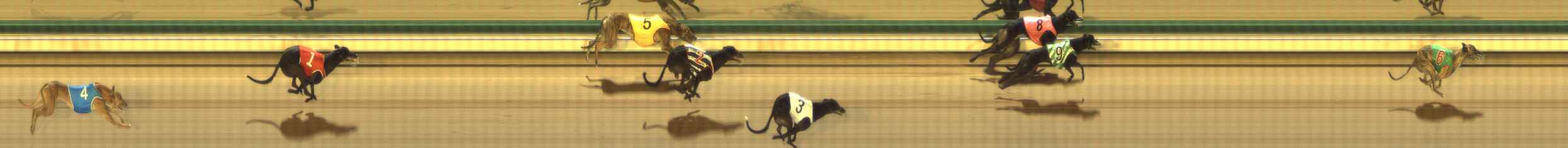 Photo finish for The Meadows Race 9
