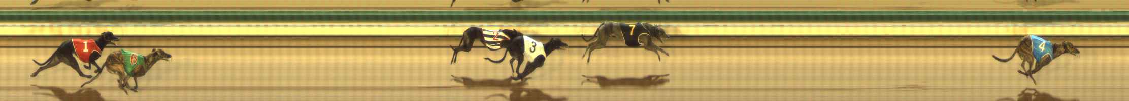 Photo finish for The Meadows Race 10