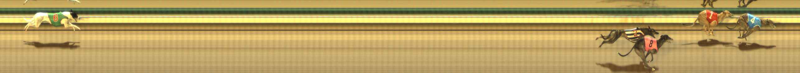 Photo finish for The Meadows Race 11