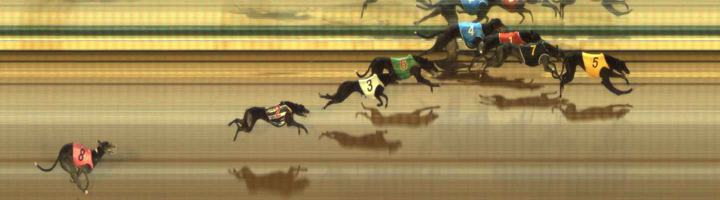 Photo finish for The Meadows Race 12