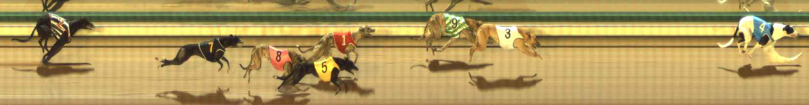 Photo finish for The Meadows Race 1