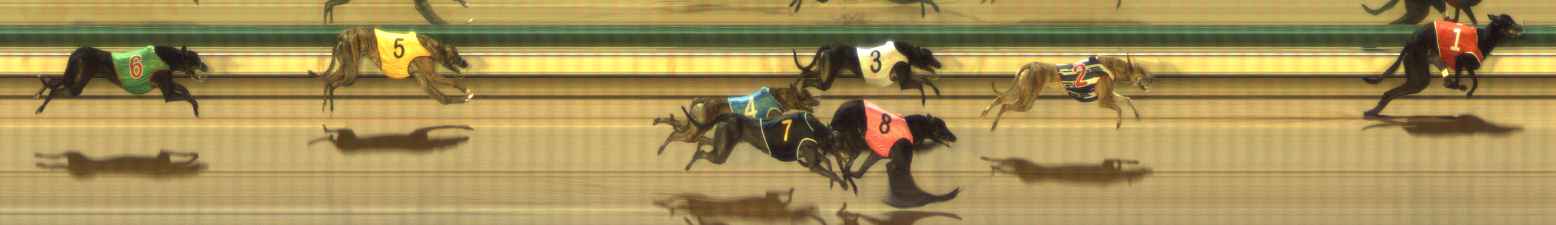 Photo finish for The Meadows Race 2