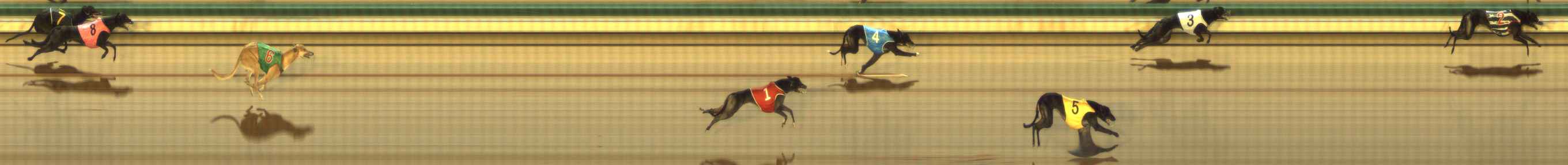 Photo finish for The Meadows Race 3
