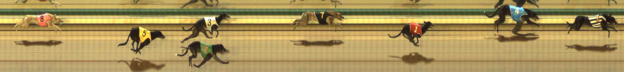 Photo finish for The Meadows Race 4