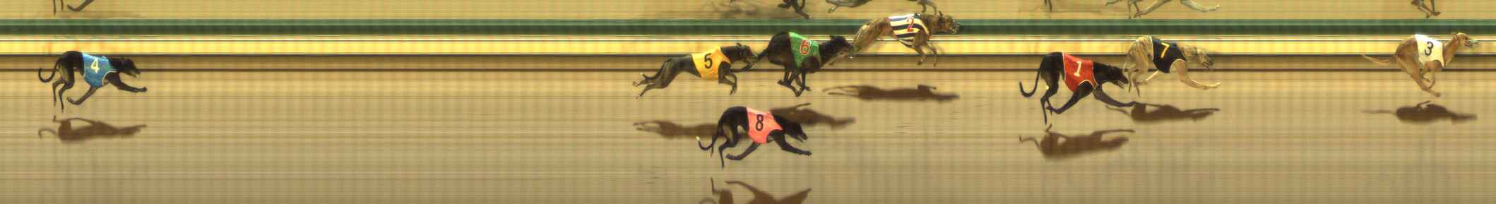 Photo finish for The Meadows Race 6