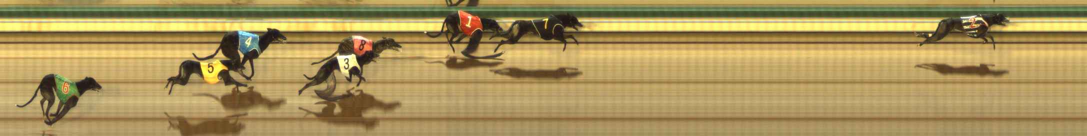Photo finish for The Meadows Race 7