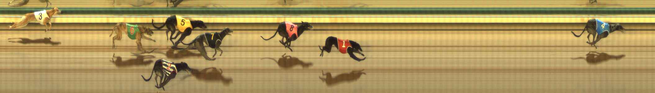 Photo finish for The Meadows Race 8