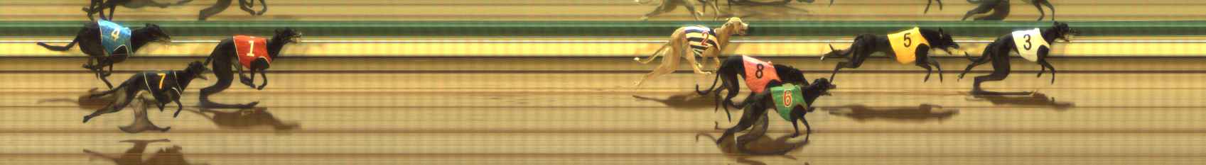 Photo finish for The Meadows Race 9