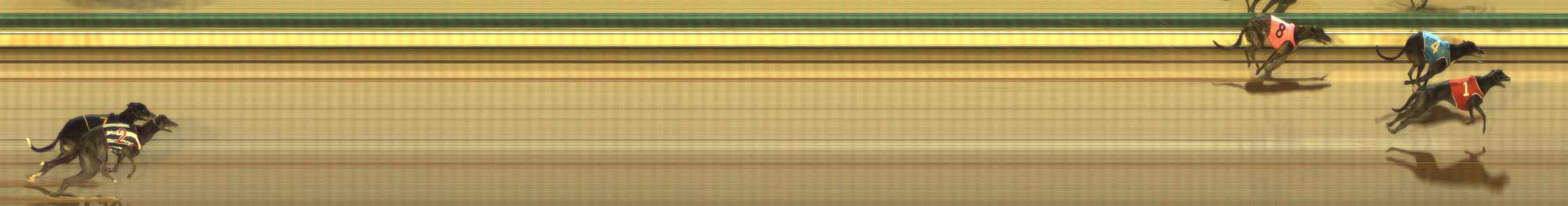 Photo finish for The Meadows Race 10
