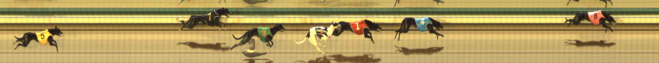 Photo finish for The Meadows Race 11