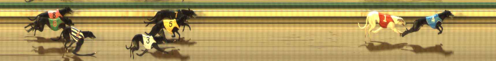 Photo finish for The Meadows Race 12
