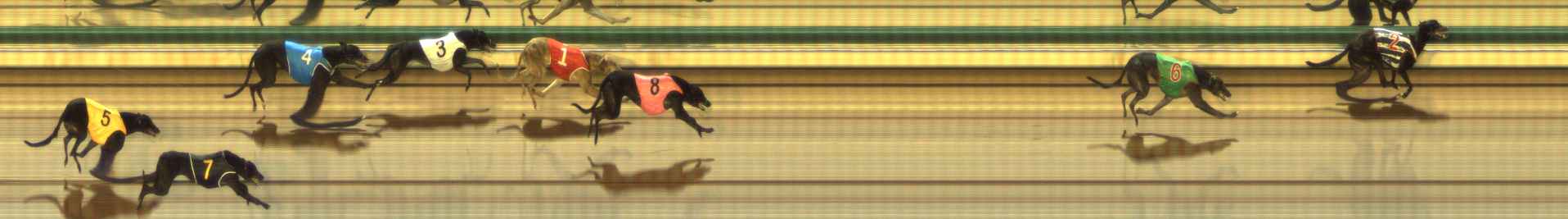 Photo finish for The Meadows Race 1