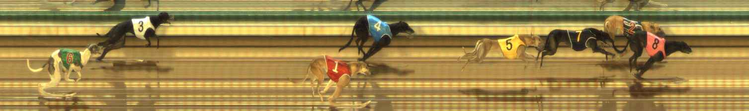 Photo finish for The Meadows Race 2