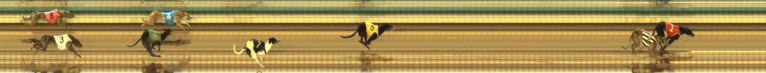 Photo finish for The Meadows Race 3