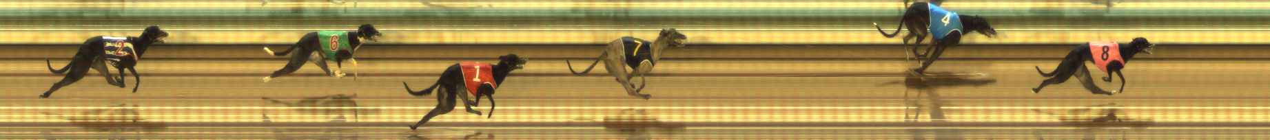 Photo finish for The Meadows Race 4