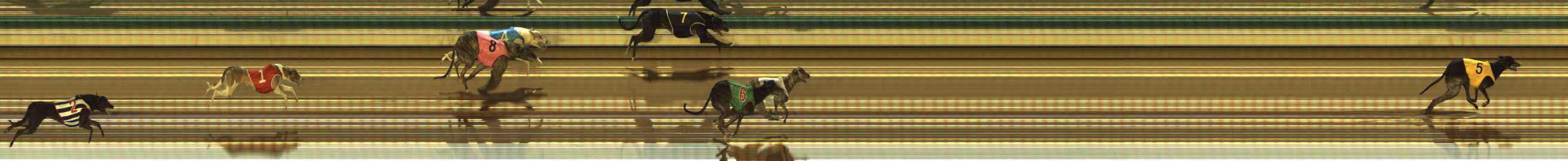 Photo finish for The Meadows Race 5