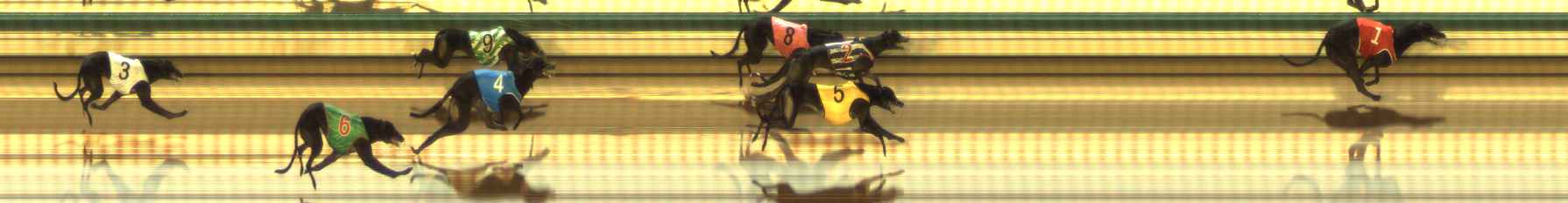 Photo finish for The Meadows Race 6