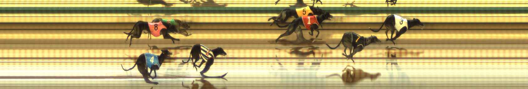 Photo finish for The Meadows Race 7