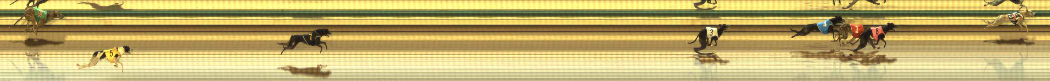 Photo finish for The Meadows Race 8