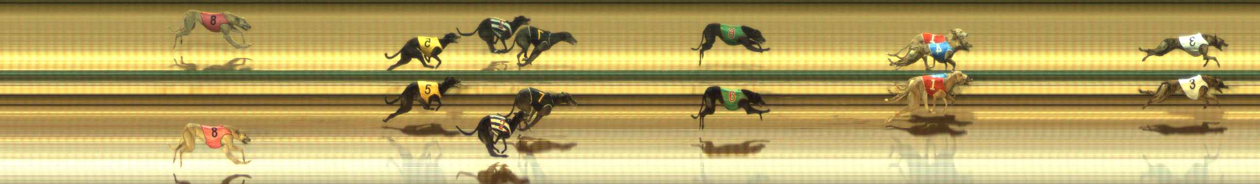 Photo finish for The Meadows Race 9