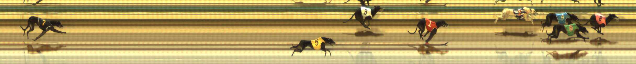 Photo finish for The Meadows Race 10