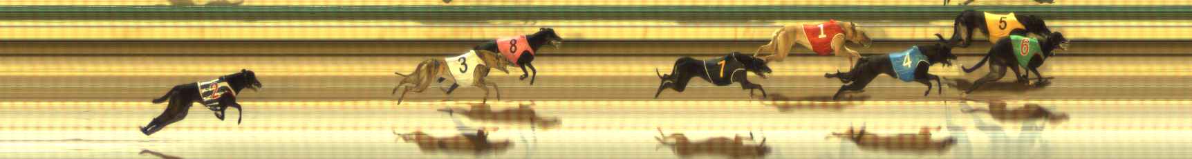 Photo finish for The Meadows Race 12