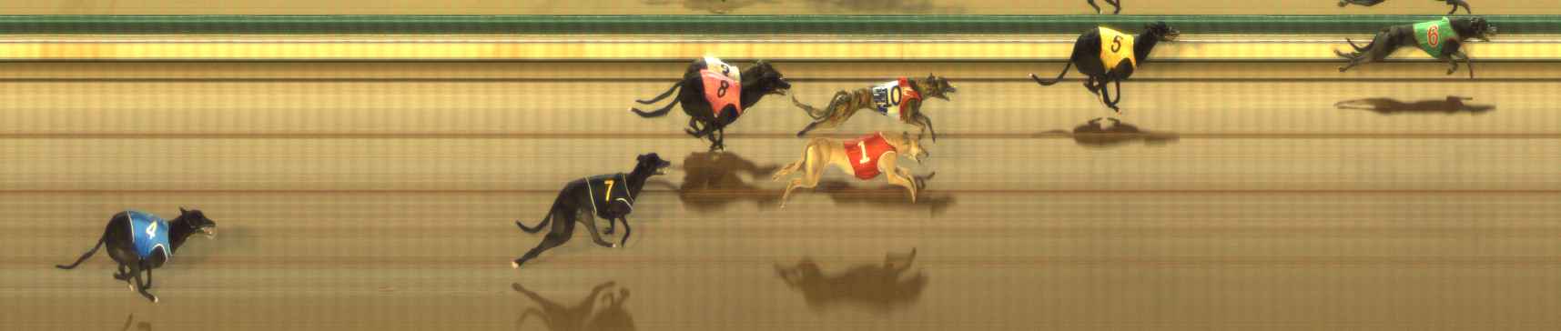 Photo finish for The Meadows Race 1
