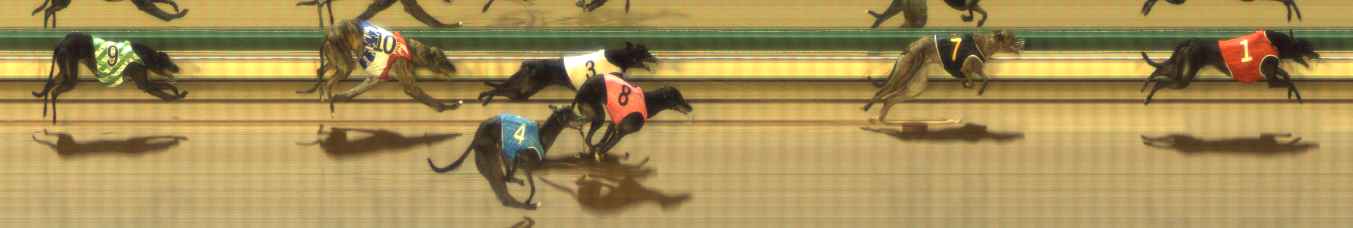 Photo finish for The Meadows Race 2