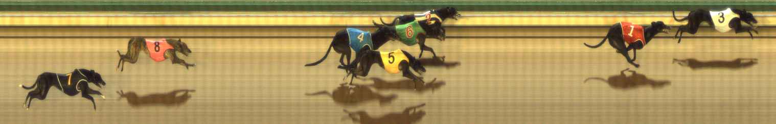 Photo finish for The Meadows Race 3