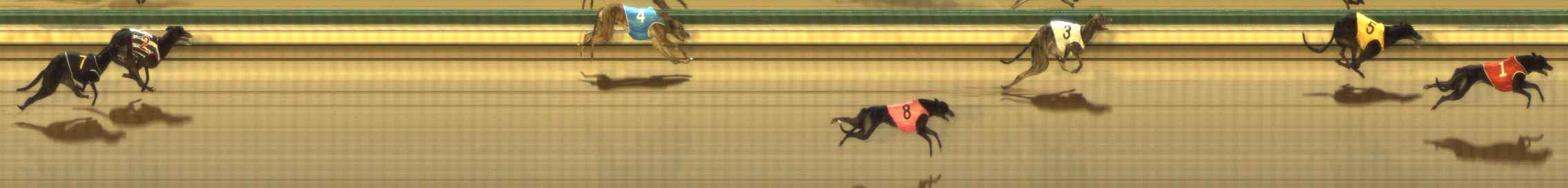 Photo finish for The Meadows Race 4