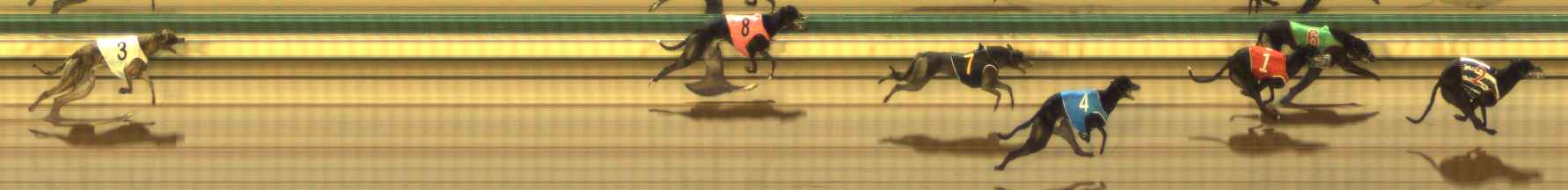 Photo finish for The Meadows Race 5