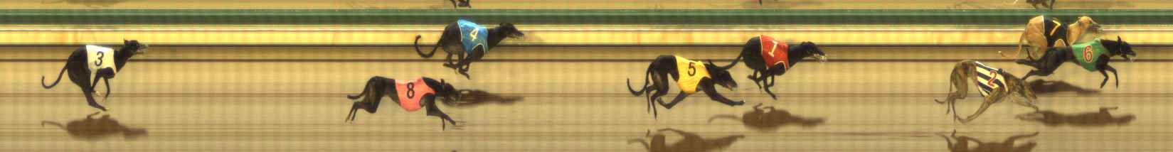 Photo finish for The Meadows Race 6