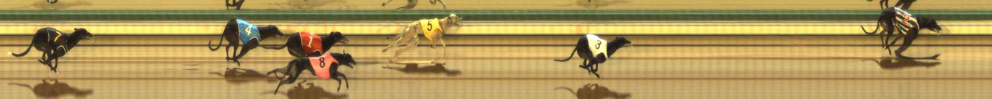 Photo finish for The Meadows Race 8