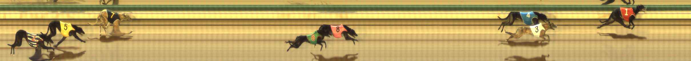 Photo finish for The Meadows Race 9