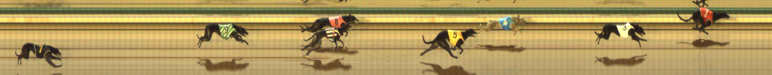 Photo finish for The Meadows Race 10