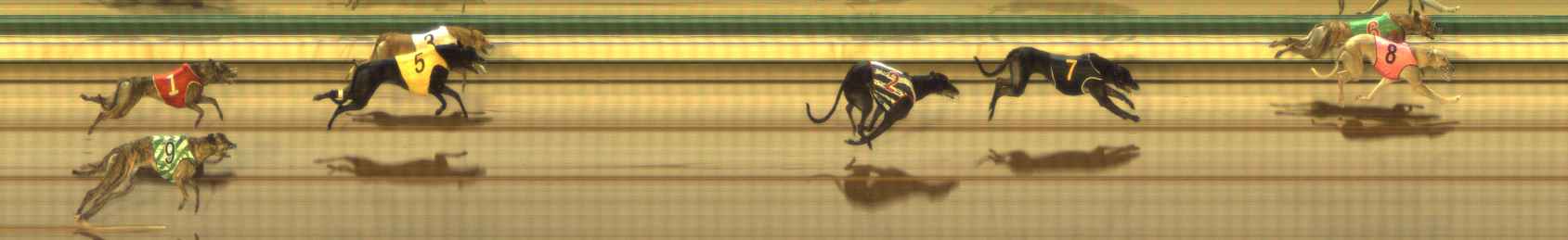 Photo finish for The Meadows Race 11