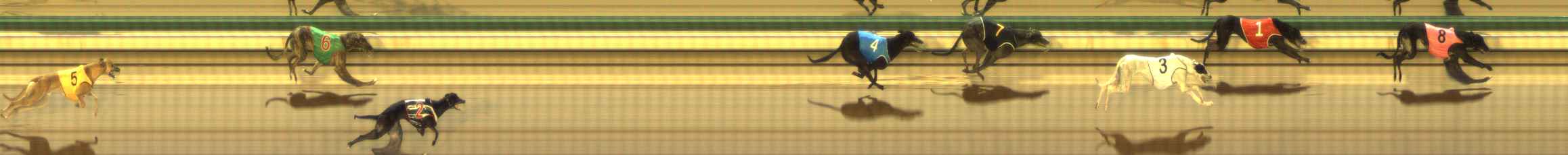 Photo finish for The Meadows Race 12