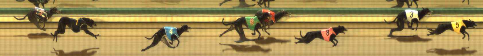 Photo finish for The Meadows Race 1
