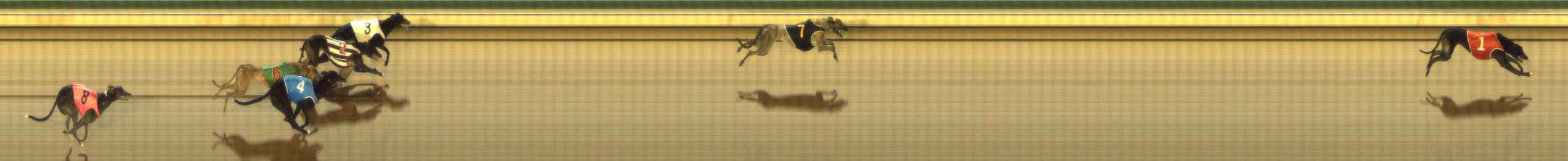 Photo finish for The Meadows Race 2