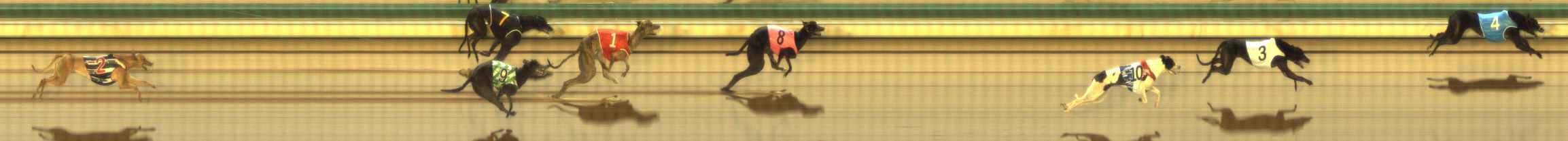 Photo finish for The Meadows Race 3
