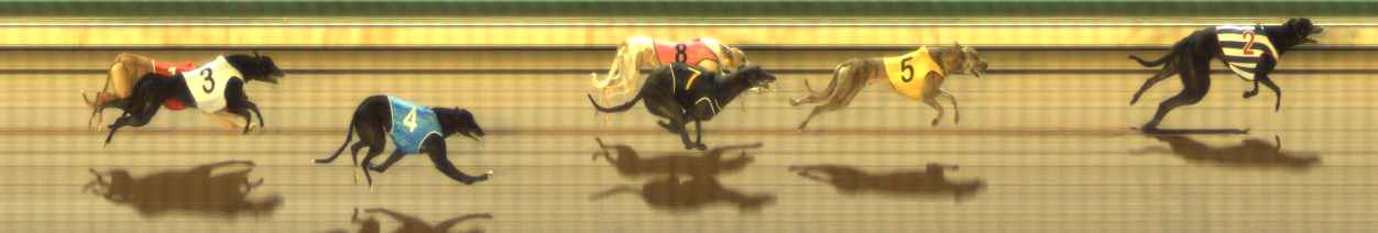 Photo finish for The Meadows Race 4