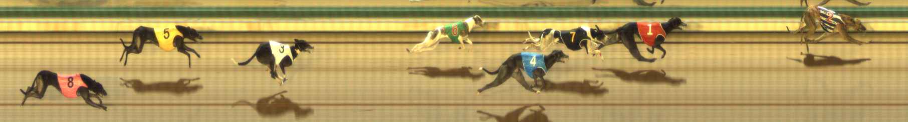 Photo finish for The Meadows Race 5