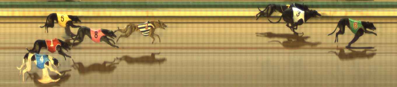 Photo finish for The Meadows Race 6