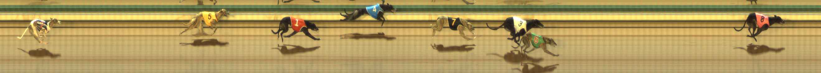 Photo finish for The Meadows Race 7