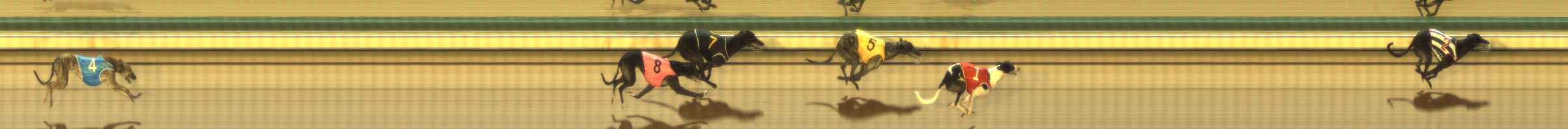 Photo finish for The Meadows Race 9