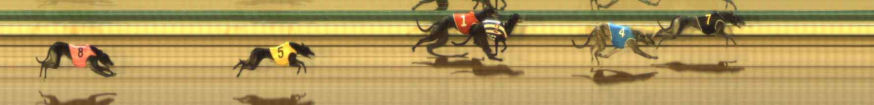 Photo finish for The Meadows Race 10